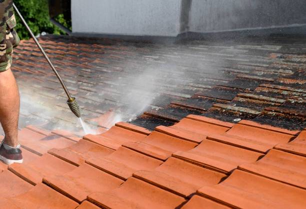 Best Affordable Power Washing  in Posen, IL