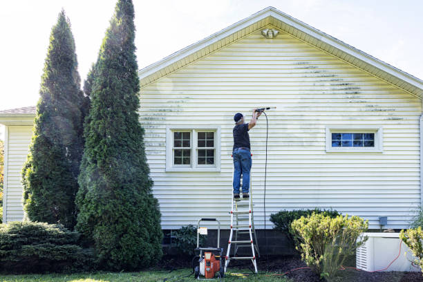 Best Commercial Building Pressure Washing  in Posen, IL