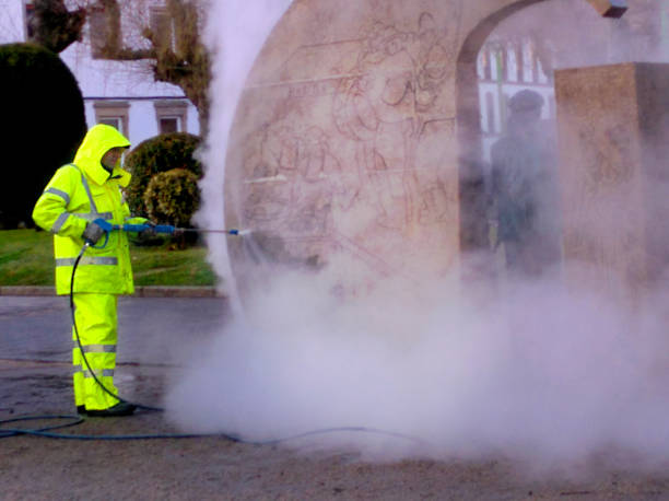 Best Fence Pressure Washing  in Posen, IL