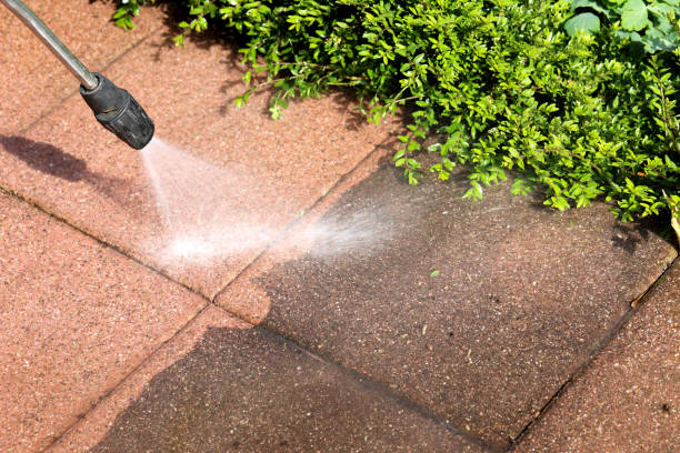 Best Roof Pressure Washing  in Posen, IL