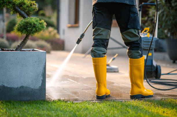 Best House Pressure Washing  in Posen, IL
